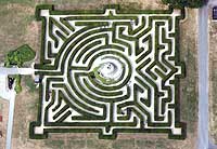 aerial photograph of maze