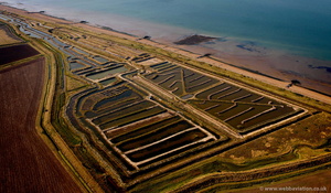 Oyster Farm  Reculver from the air