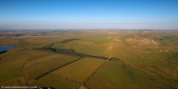 Lower Moor Plantation, Cornwall aerial photograph