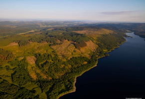 Machell Coppice, Grizedale Forest in the Lake District from the air