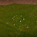 Druids-Circle-Cumbria-rd01644.jpg