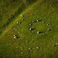 Druids-Circle-Cumbria-rd01653.jpg
