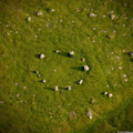 Druids-Circle-Cumbria-rd01661.jpg
