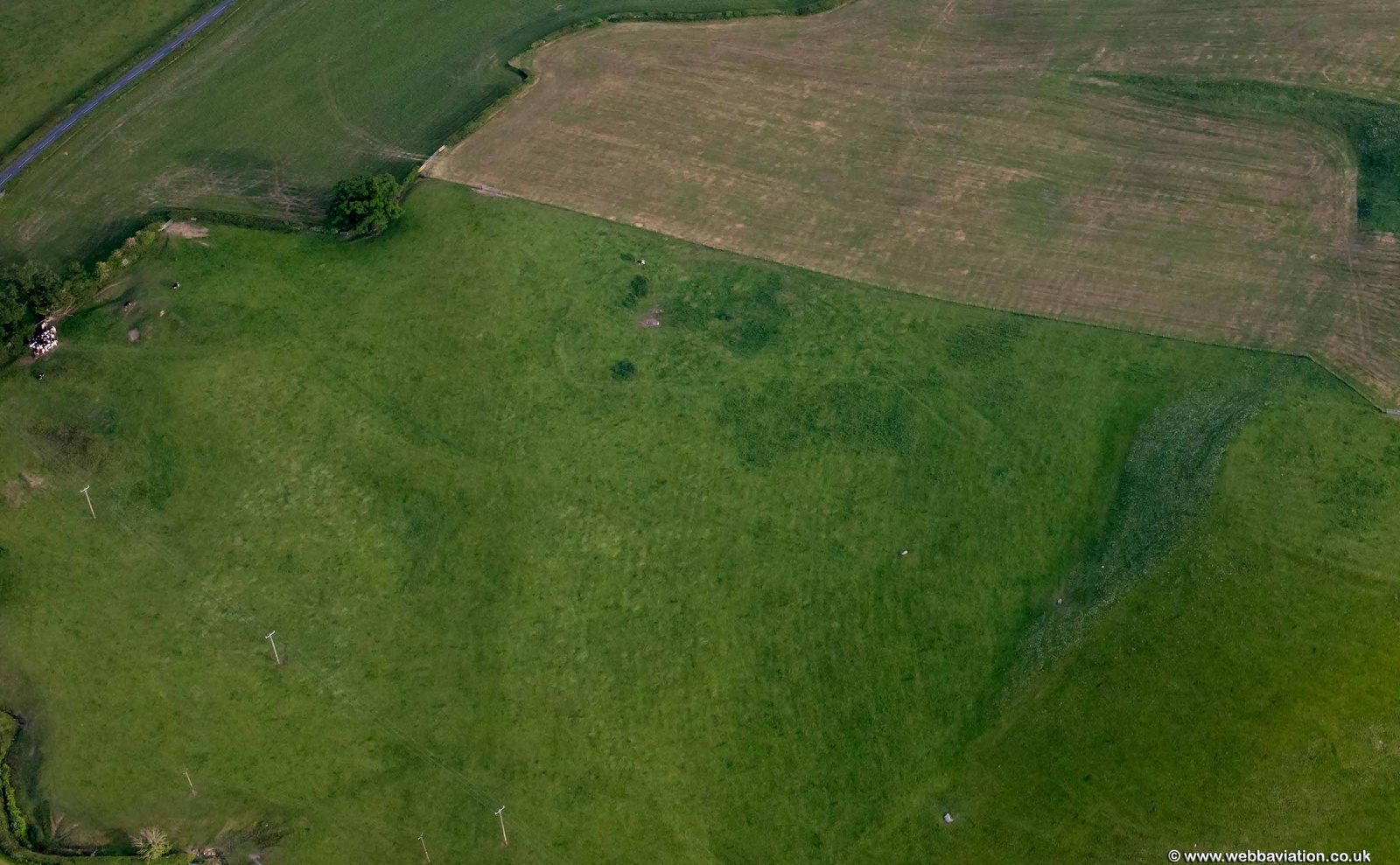 Sellet Bank prehistoric defended enclosure from the air