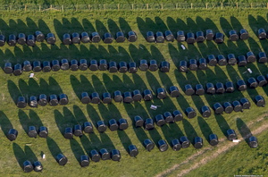 silage bales all lined up like marbles   from the air