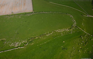  Skelmore Heads univallate Hillfort near Great Urswick Cumbria  from the air