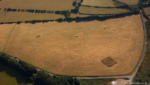 Bronze Age barrows on Martinhoe Common aerial photograph