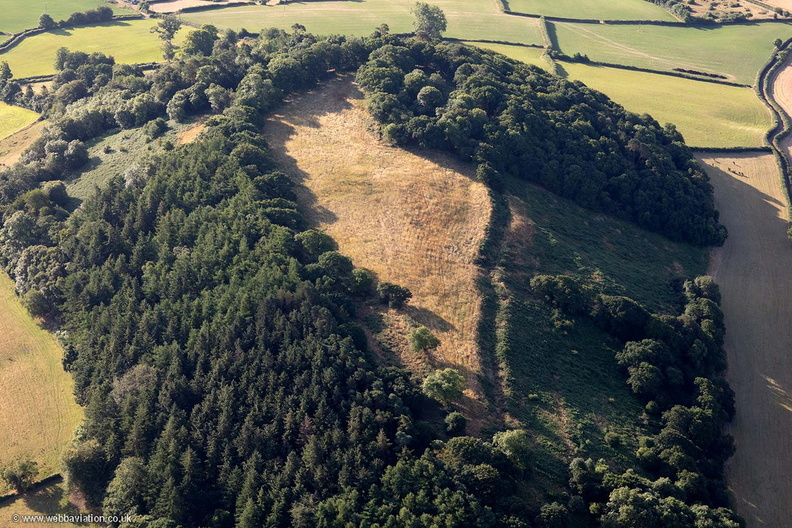Sidbury Castle from the air