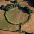 Stockland Little Castle  hillforts   from the air