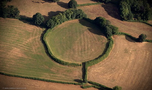 Stockland Little Castle  hillforts   from the air