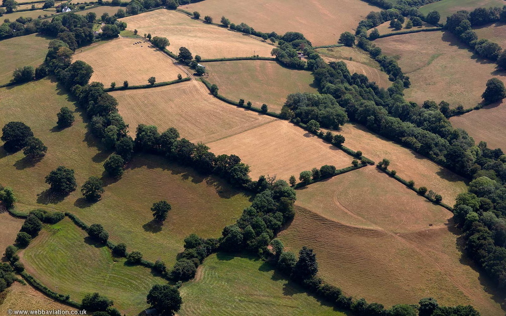 Cranmore Castle hillfort Tiverton from the air 