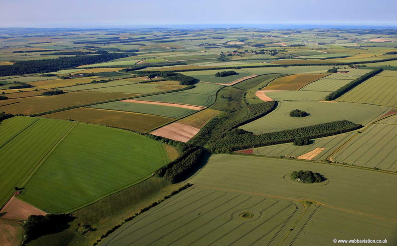  arable farming at Hog Walk near Sledmere Yorkshire England aerial photograph