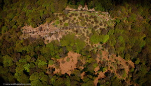 Epping Forest from the air  