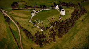 Hadleigh Castle from the air  