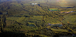 The Forest of Dean aerial photograph