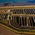 Oyster Farm  Reculver from the air