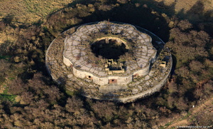 Hoo Fort from the air