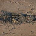 shipwreck in the East Bank of the River Wyre at  Knott End-on-Sea  from the air