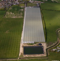 giant greenhouse on Ox Close Lane, Pilling aerial photo