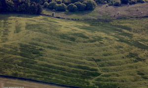 Archaeology Whittington from the air