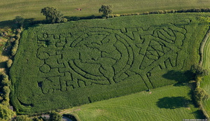 maize maze, Barton, Newsham, Lancashire  aerial photo
