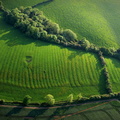  Ridge and furrow field patterns Leicestershire  aerial photograph