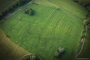Stapleford  DMV deserted medieval village   Leicestershire   aerial photograph