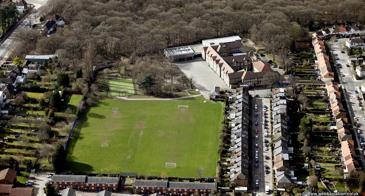 Coldfall Primary School London from the air