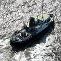  Mersey ferry Royal Daffodil  aerial photograph