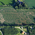  York Maze , the UK's larges Maize Maze.  aerial photograph