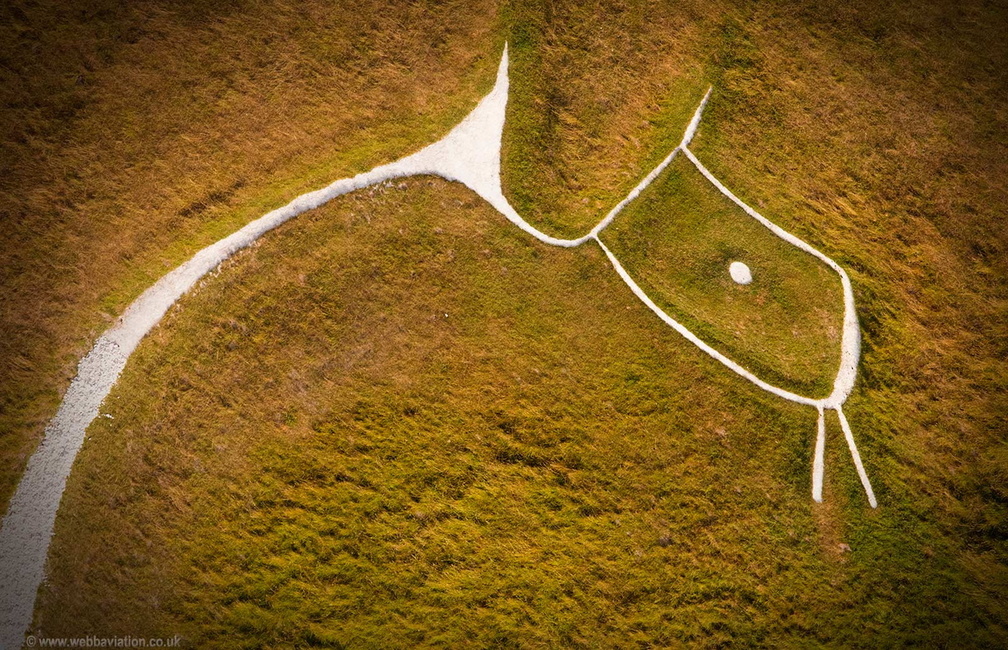 straight from the horses mouth -  Uffington White Horse aerial photograph