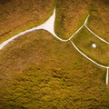 straight from the horses mouth -  Uffington White Horse aerial photograph