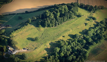 Caus Castle from the air