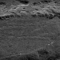 SheffieldPalsWW_Trenches-ic20340bw.jpg