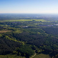 Cannock_Chase_md03125.jpg