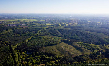 Cannock Chase Staffordshire aerial photograph