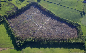 Craddocks Moss peat bog  Staffordshire England UK from the air