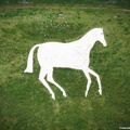  Devizes White Horse aerial photograph 