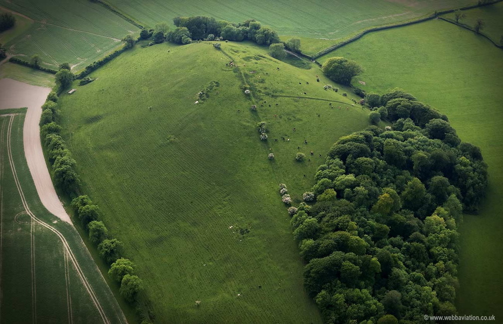 Long Knoll Wiltshire aerial photograph 