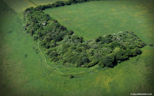 Martinsell Hillfort Wiltshire  aerial photograph 