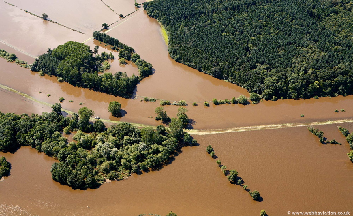 river-severn-flood-cliffey-wood-ba18190.jpg