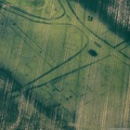 Ironage or Romano-British Fen circle Crop marks  from the air