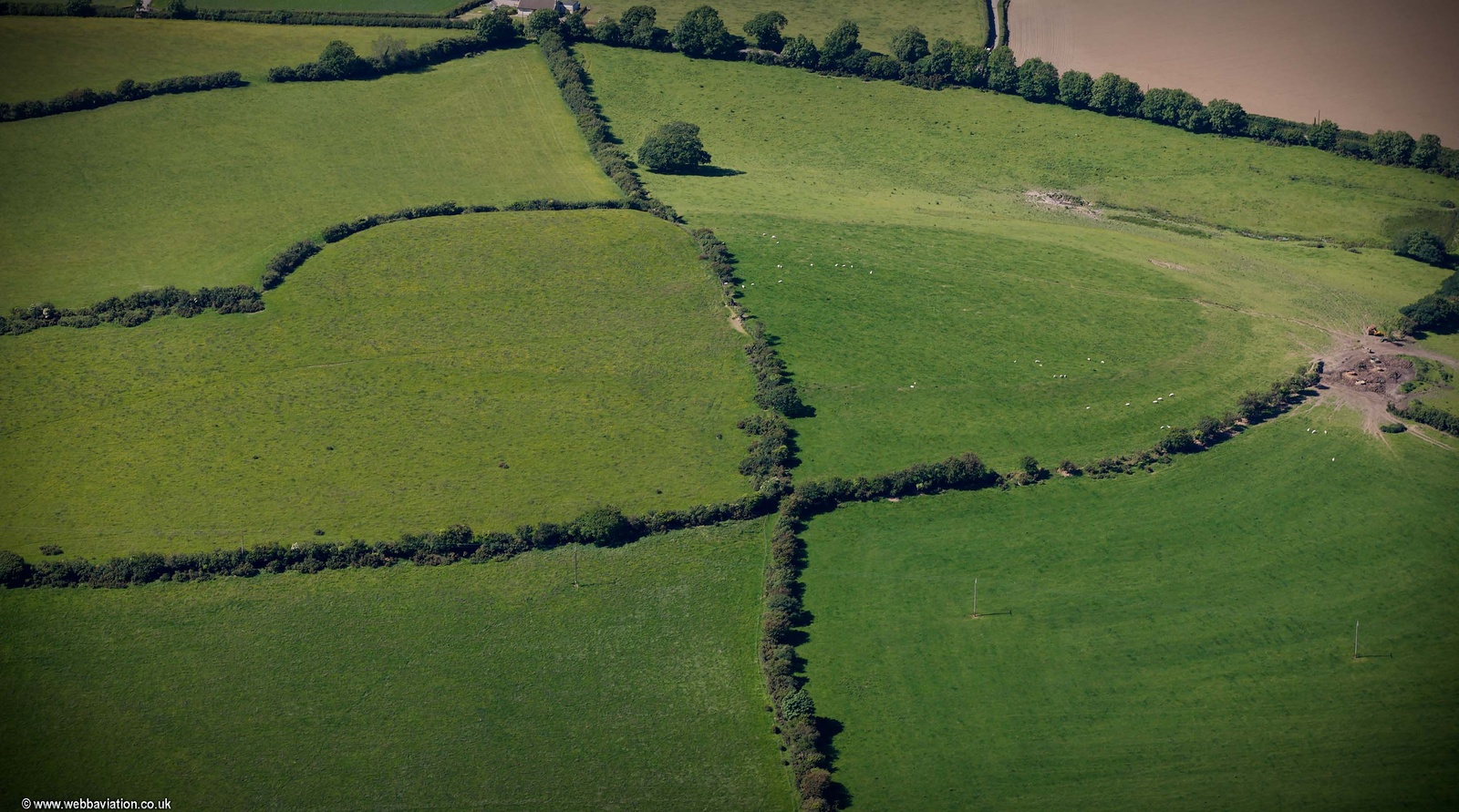 Castell-y-gaer hillfort Carmarthen from the air