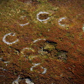 hut circles at Garn Boduan  Iron Age hillfort  from the air 