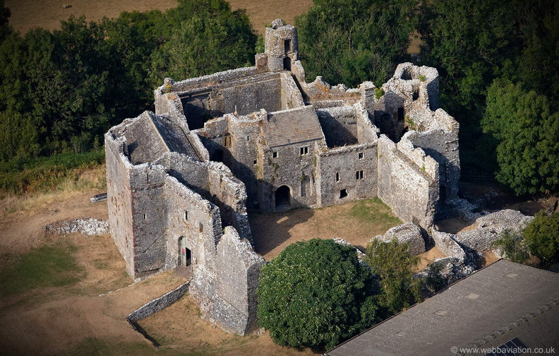 Weobley Castle from the air