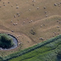  pond and remains of a lagoon adjacent Weobley Castle  from the air  