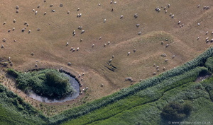 pond and remains of a lagoon adjacent Weobley Castle  from the air  