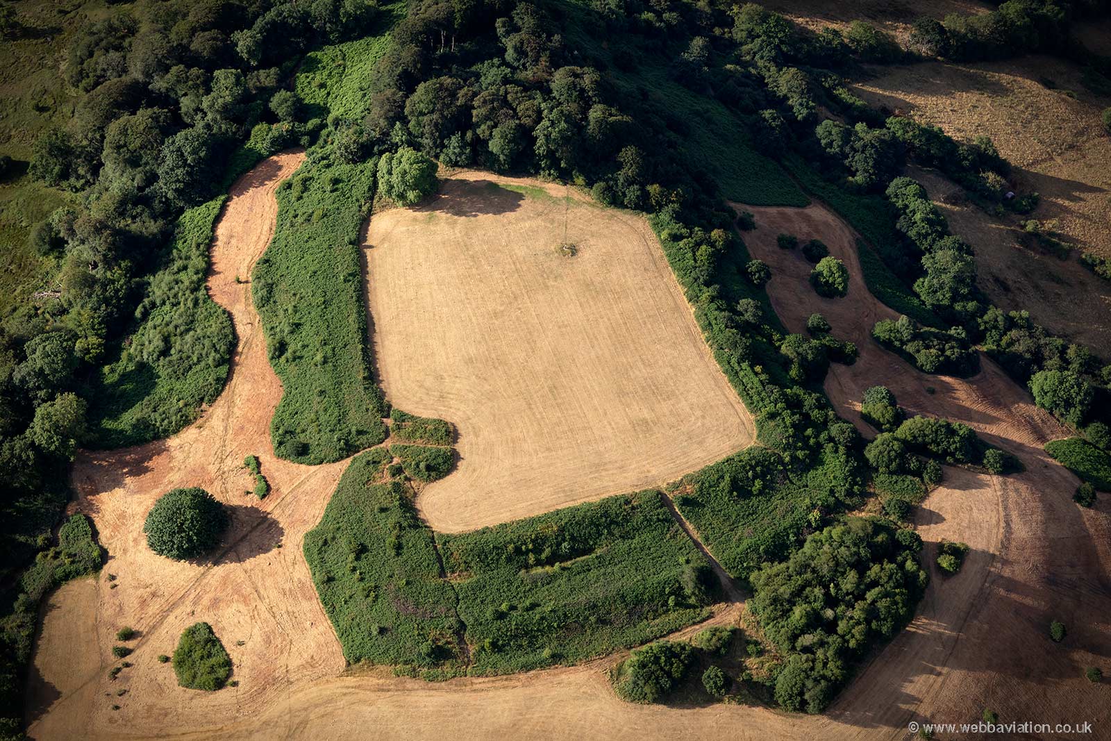 Dumpdon Camp hillfort  from the air