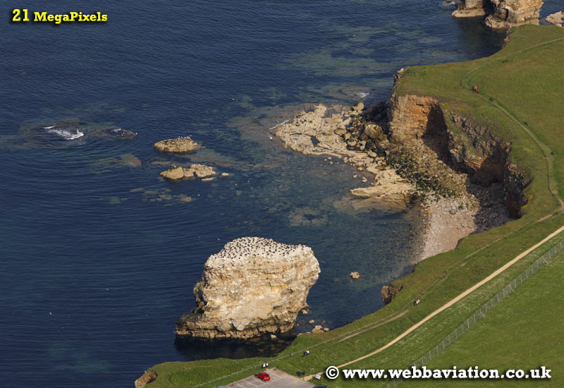 South Shields  aerial photograph 